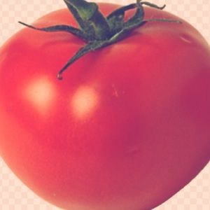 Meet your Posher, Van